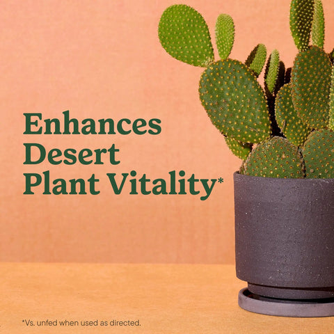Top Shelf Indoor Potting Mix For Cactus And Succulents Featuring Sweet Roots Development With Rapid Drainage Sand Perlite And Peat Moss Formula Plus Loaded Plant Food For Ace Houseplants In 8 Quart Packs with a potted cactus.