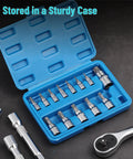 Torx Bit Socket Set 13 Piece T8 Through T60 With Star And Torx Bits in blue case on black surface