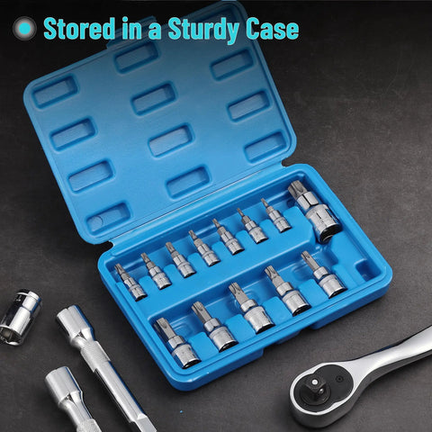 Torx Bit Socket Set 13 Piece T8 Through T60 With Star And Torx Bits in blue case on black surface