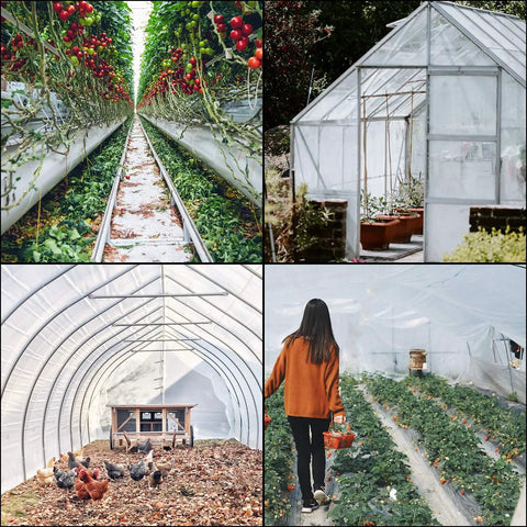 8x25 Ft Greenhouse Plastic Sheeting, 6 Mil Thick UV Resistant Clear Polyethylene Film, Heavy Duty Hoop House Cover For Gardens, Farms, Farm-Ready And Agriculture Projects, All Season Weatherproof Greenhouse Film