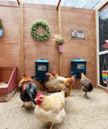 Automatic Chicken Feeder And Cup Waterer Set For Backyard Flocks No Waste Poultry Design shown in coop with chickens.