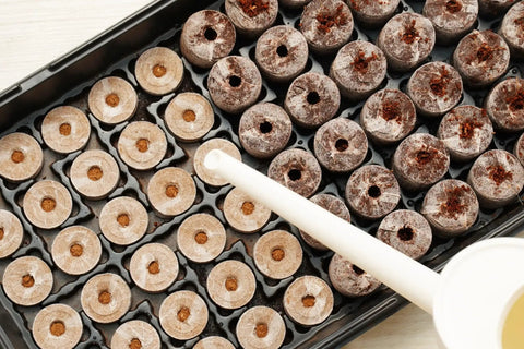72 Coconut Coir Seed Starter Pellets Kit With Humidity Dome And Watertight Tray 35mm Peat Free Pellets in tray on table