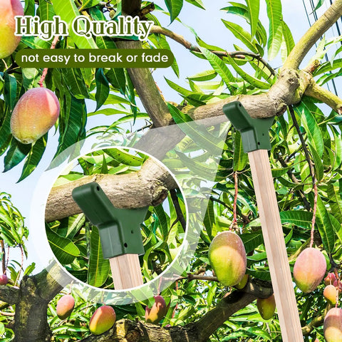 16 Piece Tree Support Kit for Fruit Trees and Vines, Plastic Branch Braces to Prevent Breakage, Fits Standard 1.57 By 1.57 Inch Lumber, A Handy Garden Hack for Backyards, Orchards And Vineyards, Includes Screws, Green; mango tree support