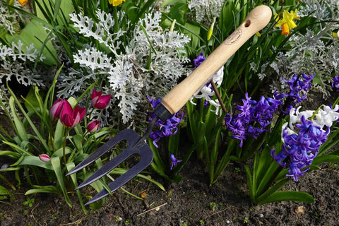 Mid Size Garden Fork For Loosening And Aerating Soil With Hardened Boron Steel Tines And Ash Hardwood Handle in flower bed