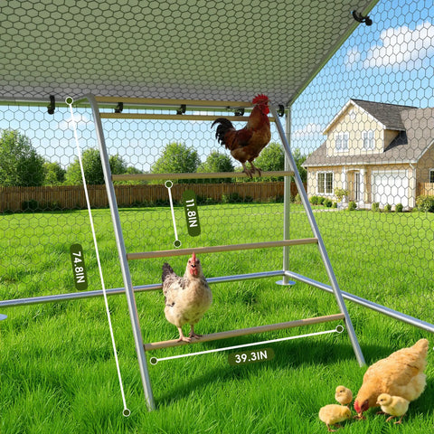 Heavy Duty Metal Chicken Coop With Waterproof UV Resistant Cover And Perch Walk In Outdoor Run For Yard Or Farm, chickens on perch