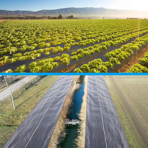 Heavy Duty Black Weed Barrier Fabric 6 Ft By 300 Ft Premium 3.5 Oz Woven Ground Cloth used in a large agricultural field and road setup