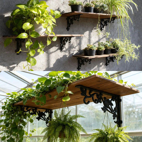 Heavy Duty Cast Iron Shelf Brackets 12 Inch Vintage Bird And Vine Decorative Corbels 4 Pack Wall Support Braces With All Mounting Hardware Included Solid As Nails Build showing plants on rustic wooden shelves.