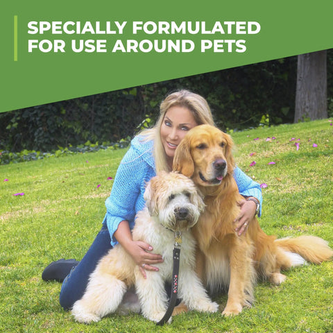 Woman with two dogs on grass, highlighting safe use of Pet Odor Eliminator Spray For Dogs With Natural Enzymes That Kicks Urine, Stool And Vomit Odors.