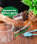 Clear Nursery Pots Set 36 Pack With Humidity Domes 3.5 Inch 4 Inch 5 Inch Seedling Pots For Vegetables Herbs Succulents With Drainage Holes Root Monitoring Seed Starting showing a plant being transplanted from a clear pot