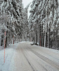20 Piece Orange Driveway Markers Set With 49 Inch Fiberglass Snow Stakes White Reflective Tape Includes 12 Inch Drill Bit For Easy Nighttime Visibility In Parking Lots And Walkways installed along snowy road