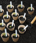 Biodegradable Peat Pots Seed Starter Kit 45 Pack 3.15 Inch With Drainage Holes Includes 30 Plant Labels Seedling Pots in soil