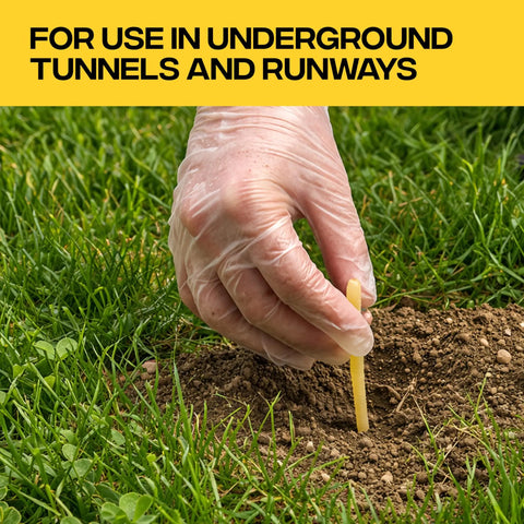 Person placing poison moleworm into soil for Poison Moleworms Kit For Outdoors With 10 Realistic Moleworms And 5 Tunnel Locator Flags