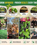 Herb Seeds Variety Pack With 11,700 Non GMO Heirloom Seeds For Indoor Outdoor Gardening In Individual Packets collage