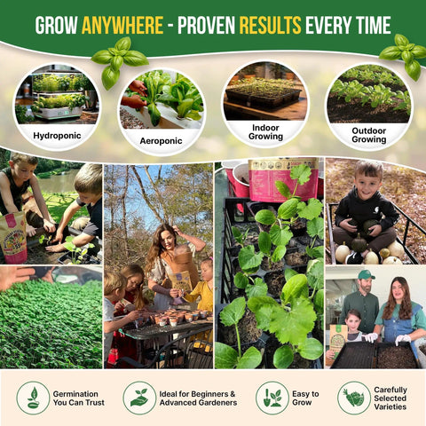 Herb Seeds Variety Pack With 11,700 Non GMO Heirloom Seeds For Indoor Outdoor Gardening In Individual Packets collage
