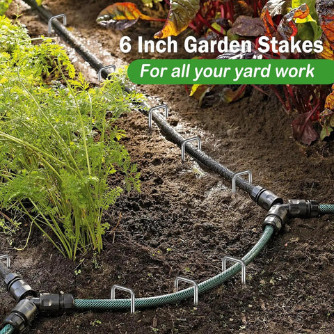 200 Pack Landscape Staples Garden Stakes 6 Inch 11 Gauge Galvanized Ground Pins securing irrigation tubing in garden