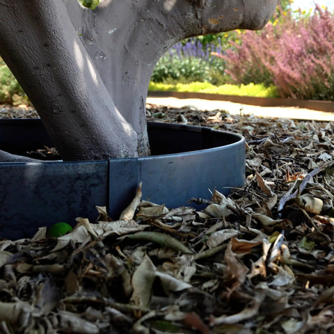 Built Tough Sturdy Circular Tree Ring Edging Kit for Landscapes made with Corten Steel keeps roots in check around tree base