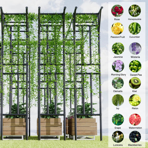 Flat Top Garden Arch Trellis 11 Ft By 9 Ft, black metal frame with climbing plants, list of compatible plants on the side