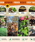 Summer Vegetable And Fruit Seed Variety Pack With 1,875 Non GMO Heirloom Seeds for Indoor and Outdoor Gardeners