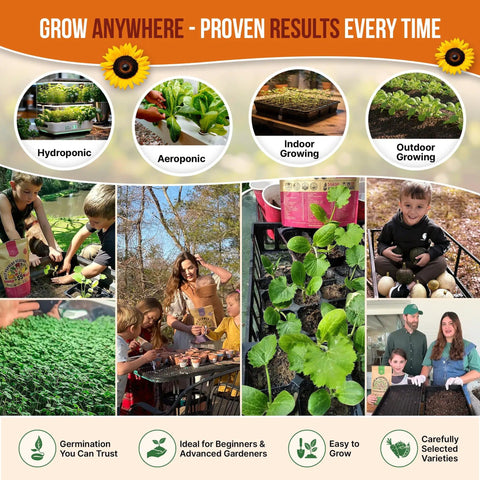 Summer Vegetable And Fruit Seed Variety Pack With 1,875 Non GMO Heirloom Seeds for Indoor and Outdoor Gardeners