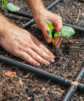 Hands planting seedling within Effortless Garden Irrigation Grid System For Beds That Water Every Plant In Minutes Preassembled And Ready