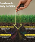 Diagram showing benefits of 16-4-8 With Humates Lawn Fertilizer For Grass Covers 11,000 Sq Ft Works With Most Spreaders For All Turf Types