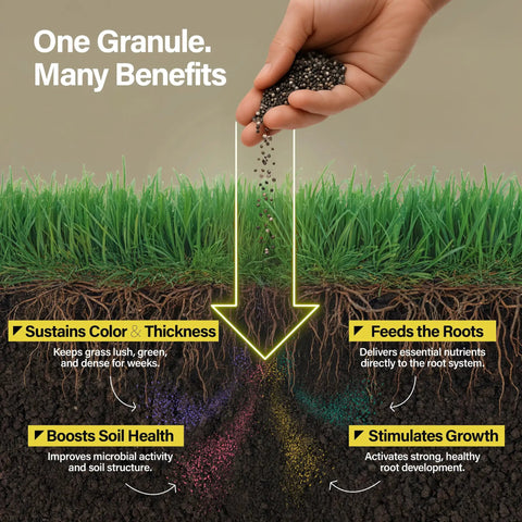 Diagram showing benefits of 16-4-8 With Humates Lawn Fertilizer For Grass Covers 11,000 Sq Ft Works With Most Spreaders For All Turf Types