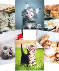 Cat-themed microfiber cleaning cloths for glasses and screens; 6-pack, GiGonna brand.