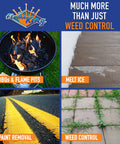 Image showing uses of Heavy Duty Propane Torch Kit 340000 BTU With Self Igniting Battery Operated Igniter And 10 Feet Hose Regulator Assembly.