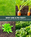 Lush garden plants illustrating the benefits of using a Soil PH Test Kit Strip For Quick Accurate Garden Readings With Color Chart Easy To Use PH Tester For Gardens Lawns Grass And Vegetables Essential DIY Gardening Tool For Home Growers