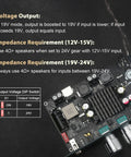 Beefy 100W Mono Bluetooth 5.3 Amplifier Board With TPA3116D2 Class D Chip Built In Step Up Circuit 19V 24V TWS Wireless Pairing AUX USB And DC 12-24V Input For DIY Home Speakers And Small AV Setups, black PCB with voltage switch