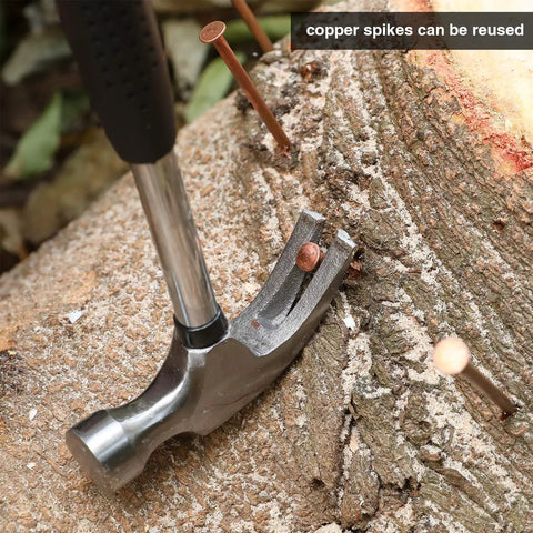 Hammer driving 3.5 inch copper spike into tree stump from 20 Pcs Pure Copper Nails For Killing Trees Kit.
