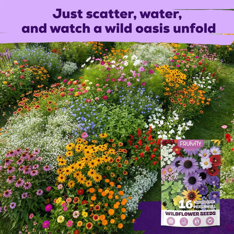Bulk Wildflower Seeds Pack With Sixteen Varieties Perennial And Annual To Attract Bees Butterflies And Hummingbirds High Germination For Outdoor Pollinator Gardens A Totally Sweet Gift For Mom And Garden Lovers