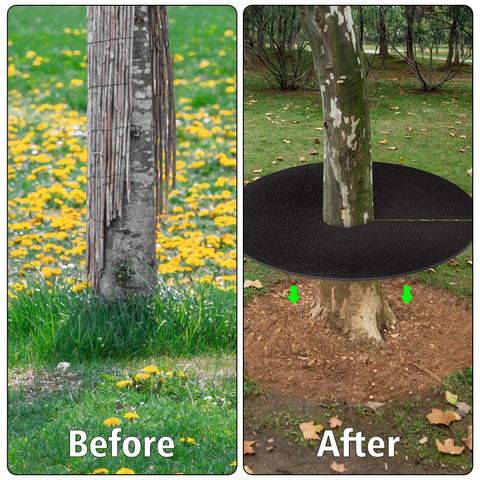 Before and after installation of 32.5 Inch Nonwoven Tree Mulch Ring Six Pack Reusable Weed Barrier Mat Degradable