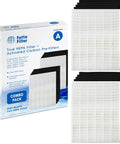 Two Pack Premium HEPA H13 Filter Plus Eight Carbon Replacement Filters For Winix 115115 Size 21 Plasma Wave AM90 P300 5300 5500