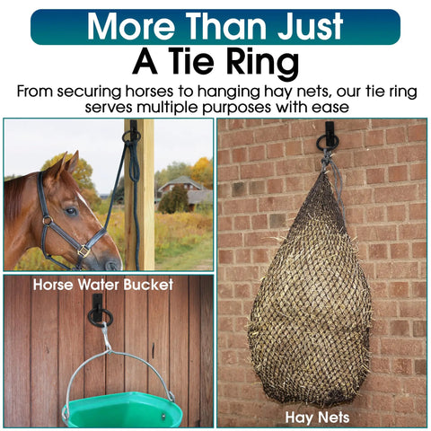 Heavy Duty Solid Steel Horse Tie Ring 2-3/8 Inch Cross Tie Ring For Horses securing a horse, water bucket, and hay net.