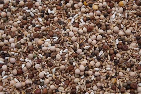 Deluxe Racing Pigeon Mix No Corn 17.5 Percent Protein 8 Lb Bag For Top Conditioning And Race Prep With Peas And Balanced Ration