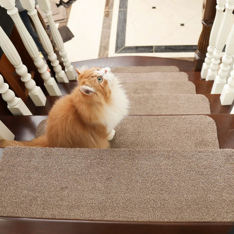 Non Slip Stair Treads Carpet Mats 28 By 9 Inches Indoor Stair Runners For Wooden Steps Teal 10 Pack with cat sitting quietly