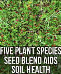 Buffalo Blend Seed Mix 50Lb Bulk For Wildlife Food Plots No Till Grow Forage with red and green plant species visible.
