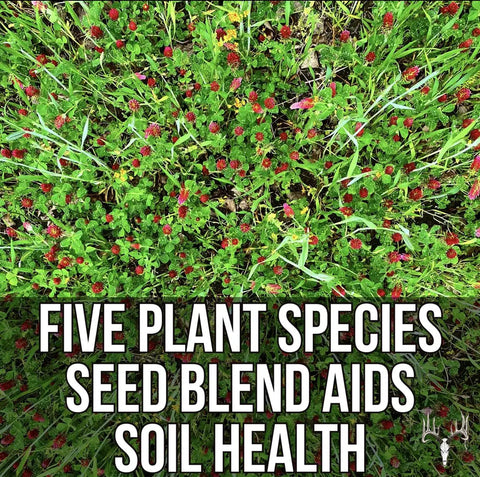 Buffalo Blend Seed Mix 50Lb Bulk For Wildlife Food Plots No Till Grow Forage with red and green plant species visible.