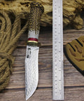 Damascus Steel Hunting Knife With Faux Antler Handle, 5.4 Inch Fixed Blade Skinner For Camping And Survival next to ruler.