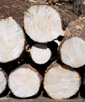 Freshly cut wood logs showing end grain ideal for using End Grain Sealer Clear 1 Gallon For Woodworkers And Carvers