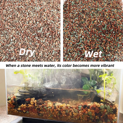 3 Lb Lava Rock Mix For Indoor Plants Red And Black Pebbles For Bonsai Succulents Cacti Great Drainage For Potting Soil Vase Fillers Fairy Garden Top Dressing shown dry, wet, and in a terrarium.