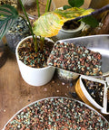 3 Lb Lava Rock Mix For Indoor Plants Red And Black Pebbles For Bonsai Succulents Cacti Great Drainage For Potting Soil Vase Fillers Fairy Garden Top Dressing being used as top dressing for potted plants