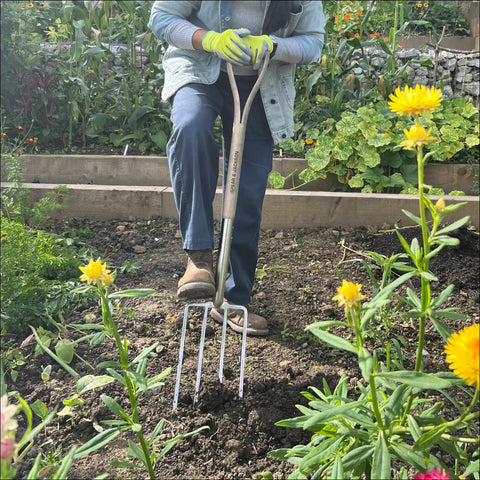 Gardener using Beefy Stainless Steel Digging Fork For Heavy Duty Garden Work, Durable Garden Tool For Digging in vegetable bed