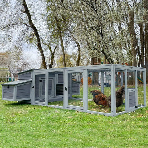 Outdoor Wooden Chicken Coop For 4 To 6 Birds With Two Nesting Boxes, Big Hen House And Bird Run, Cozy Weatherproof Setup Grey AIR45
