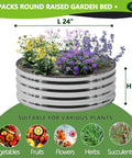 Round galvanized raised garden bed with flowers, 24x12 inches, for veggies, flowers, and herbs, Two Pack 2x2x1 Foot Galvanized Raised Garden Bed Planter Set For Backyard Veggies And Flowers Durable Rust Resistant Frame Easy Assembly Long Lasting Outdoor Garden Kit.