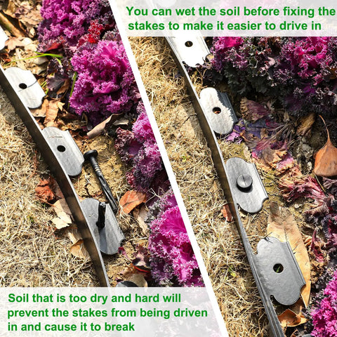 Two Pack 1.5 Inch Garden Edging Border 100 Ft Total Length Plastic Landscaping Edge With 120 Spikes shown installed next to garden bed