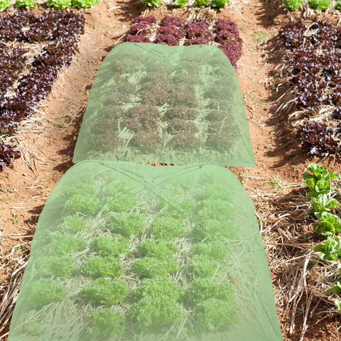 Four Pack Mesh Plant Covers Reusable Cloche Domes For Outdoor Garden Greenhouse Protect Veggies Fruit And Flowers From Pests Collapsible Umbrella Style 15 By 15 Inch Green