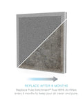 Genuine 3-In-1 True HEPA Replacement Filter for PureZone Air Purifier showing clean and used sides with text 'Replace After 6 Months'