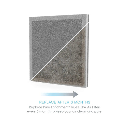 Genuine 3-In-1 True HEPA Replacement Filter for PureZone Air Purifier showing clean and used sides with text 'Replace After 6 Months'